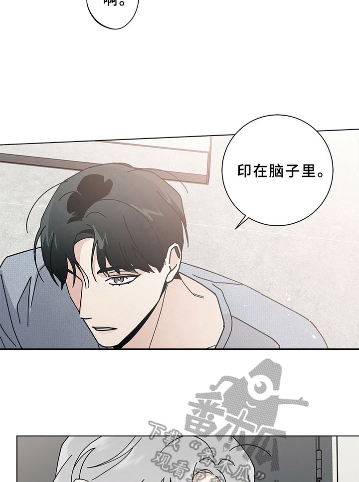 第18章：表态