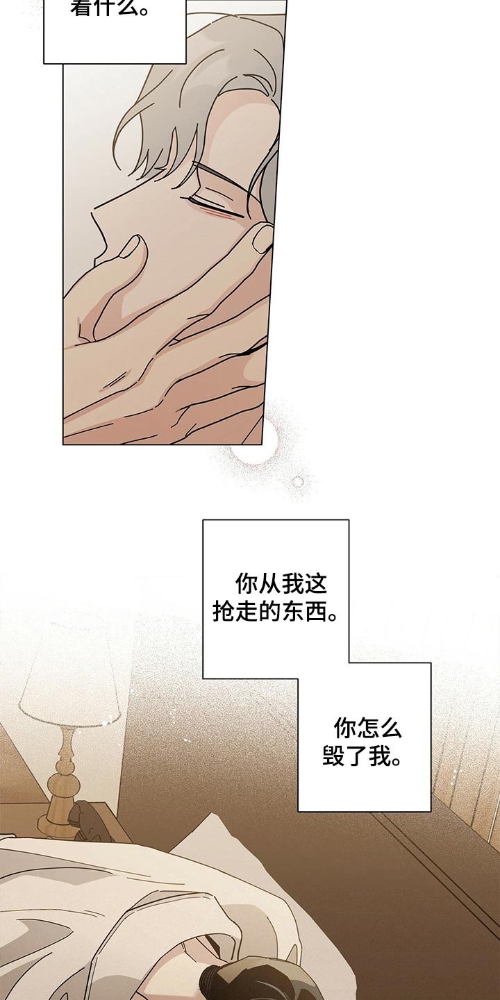 第29章：是梦？