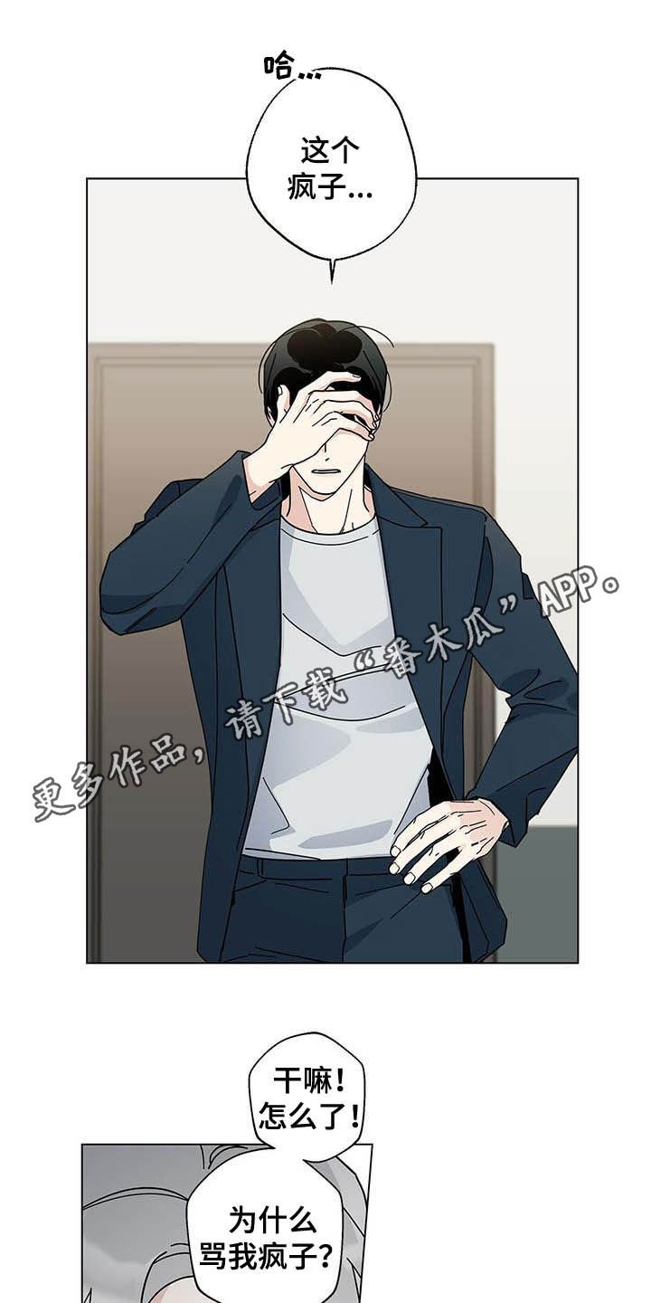 第37章：疯子