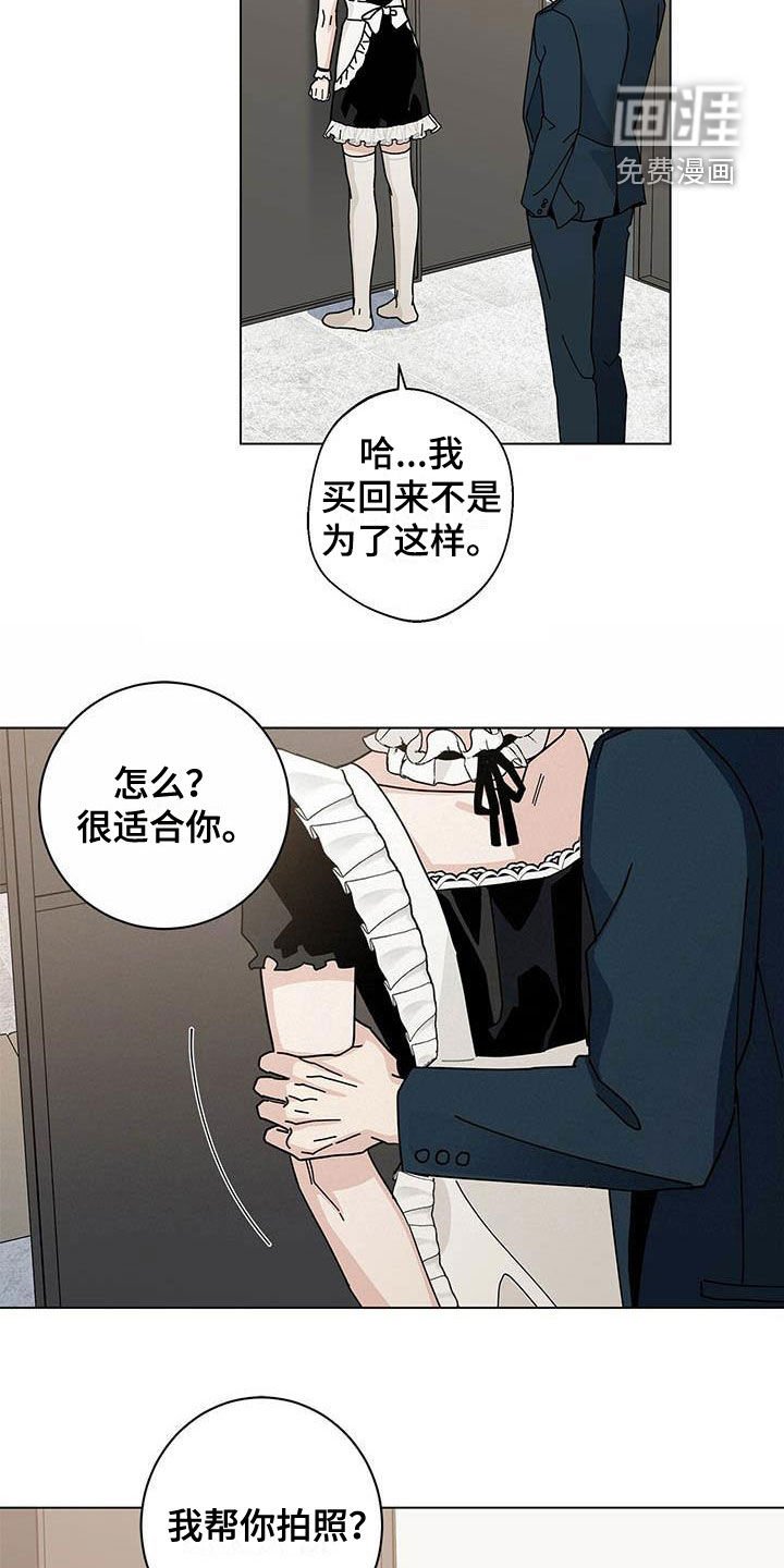 第43章：一件一件试