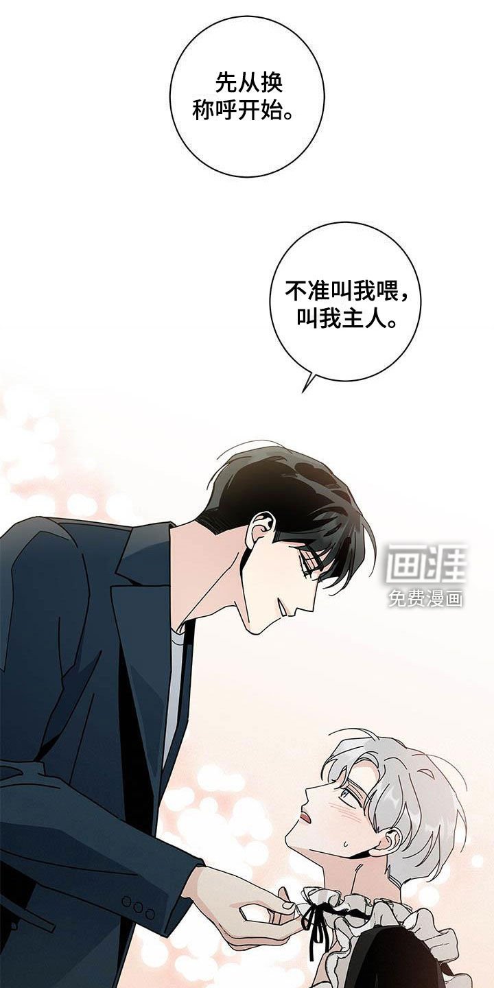 第43章：一件一件试