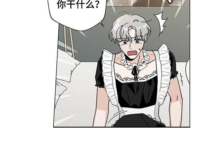 第43章：一件一件试