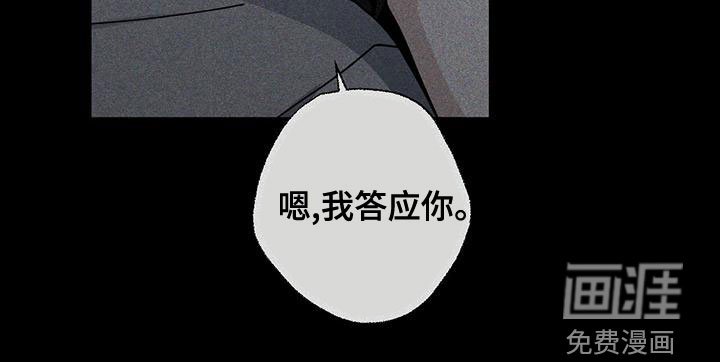第71章：没有家