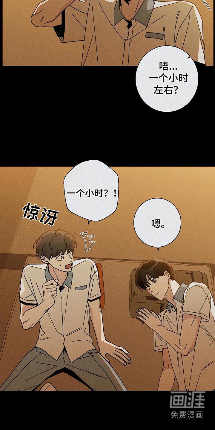 第80章：生日