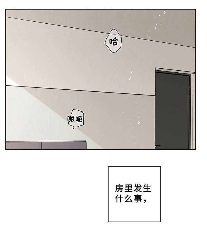 第9章：规定