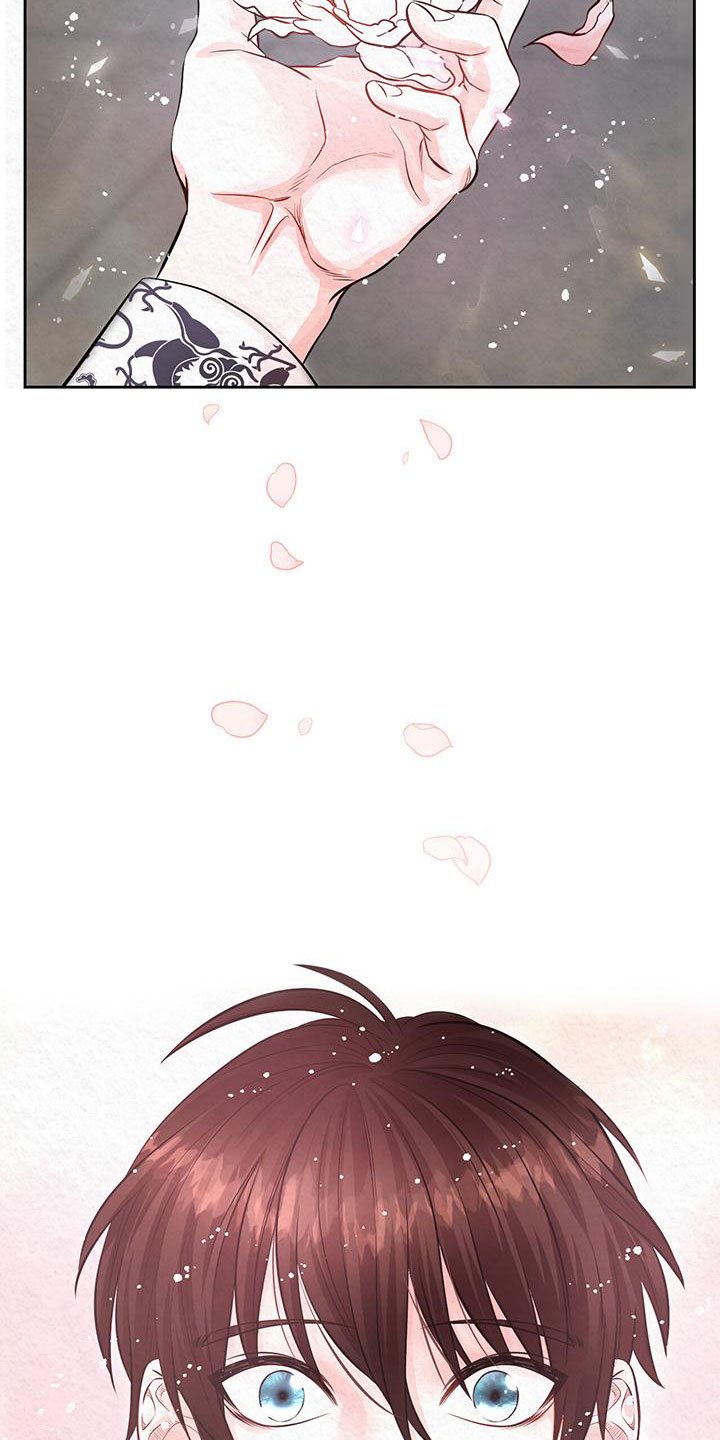 第1章：命运之夜