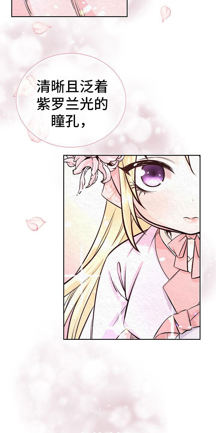 第3章：他的蝴蝶