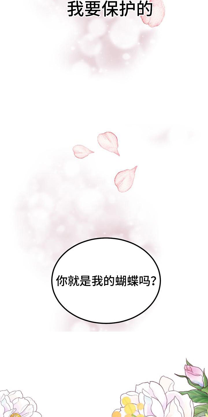 第3章：他的蝴蝶