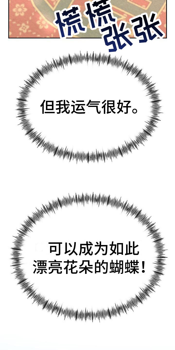 第3章：他的蝴蝶