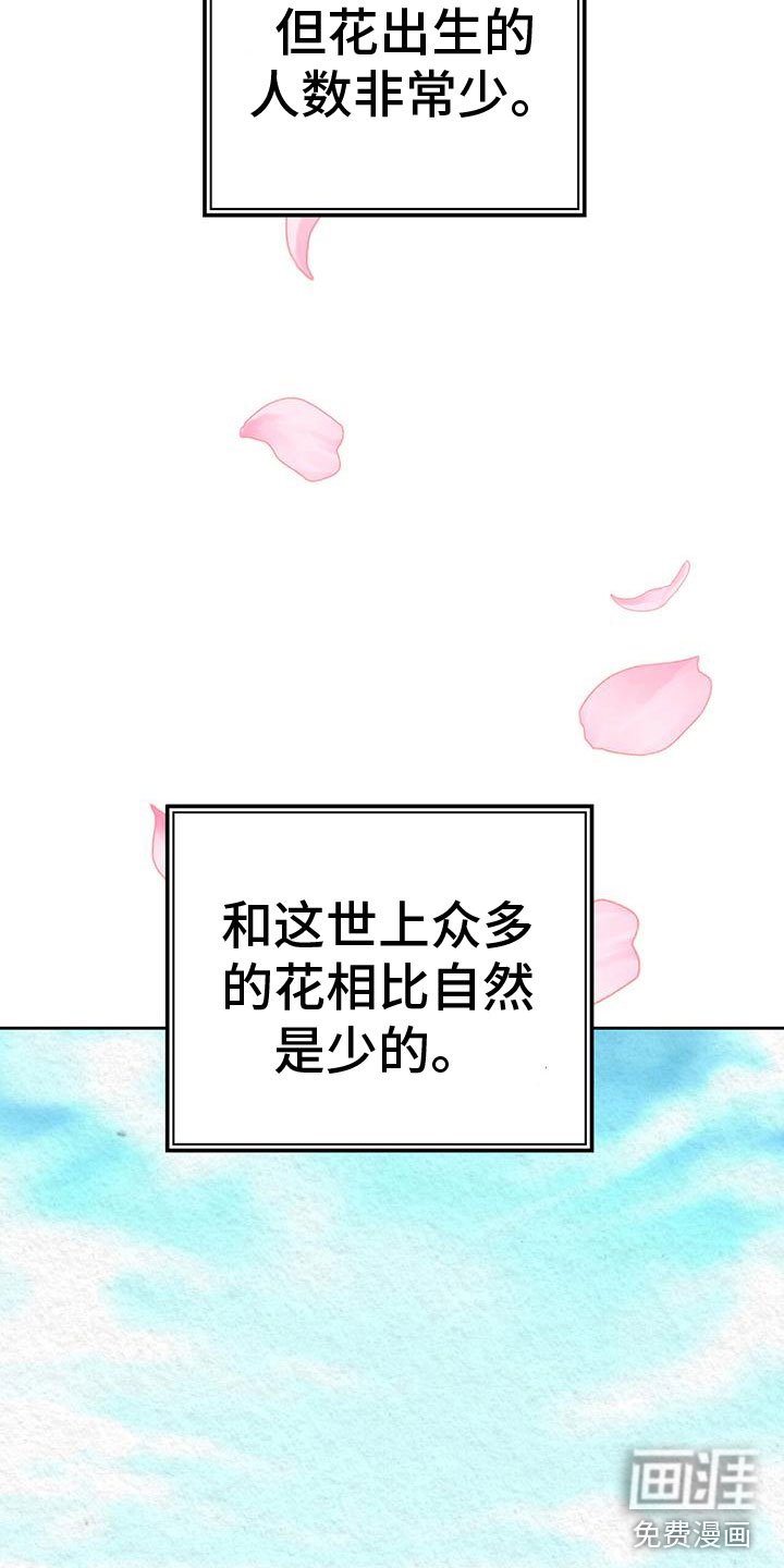 第7章：花与蝴蝶