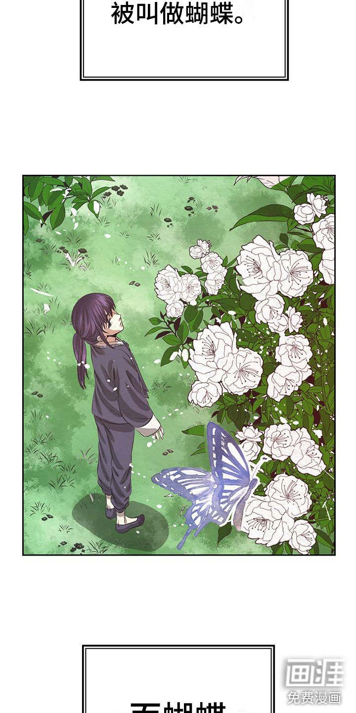 第7章：花与蝴蝶