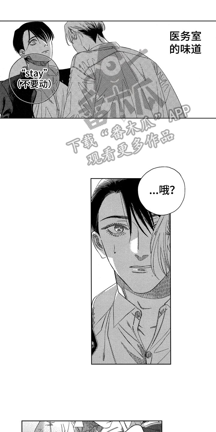 第11章：胡思乱想
