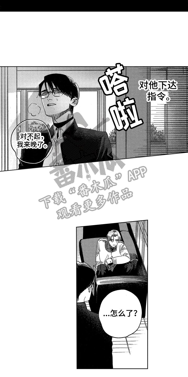 第13章：命令