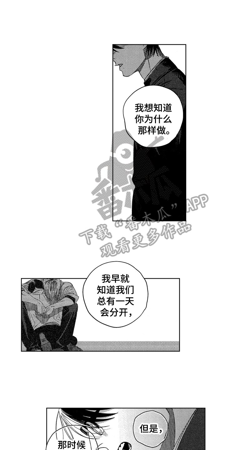 第15章：表白