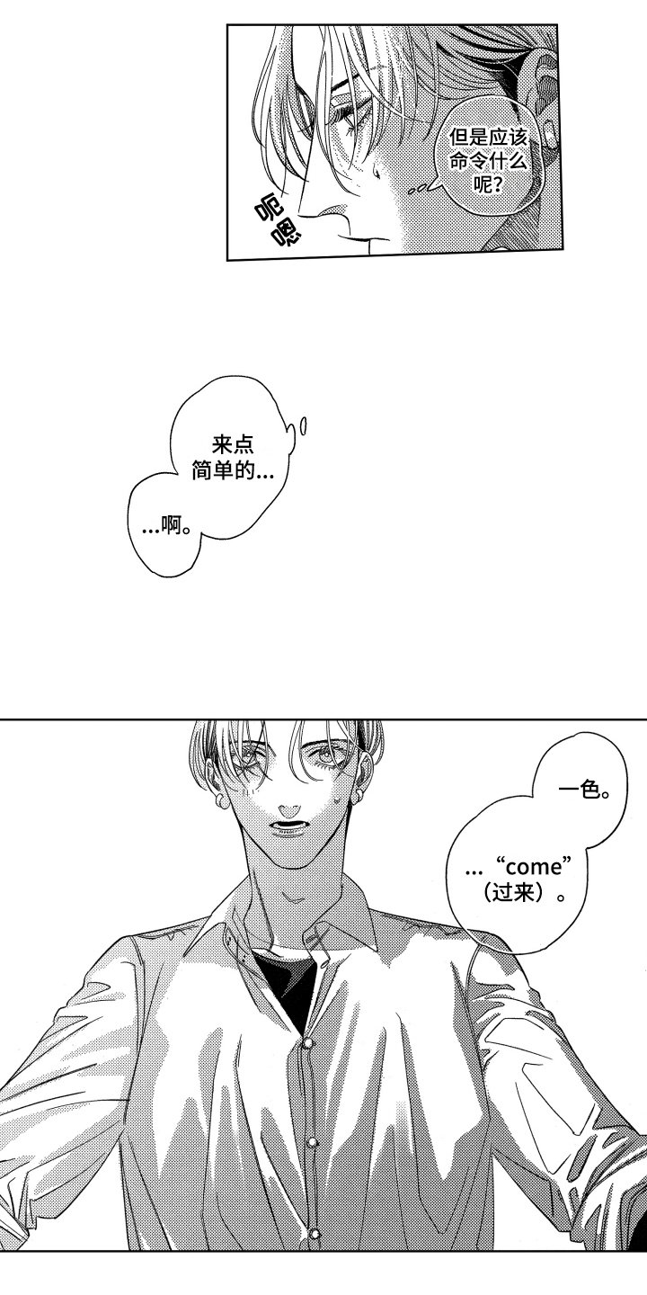 第3章：交流