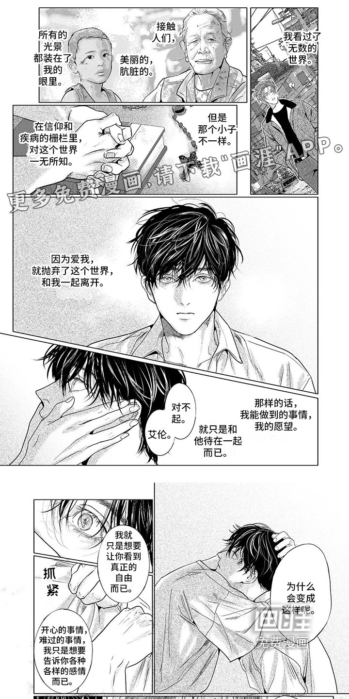 第21章：印象