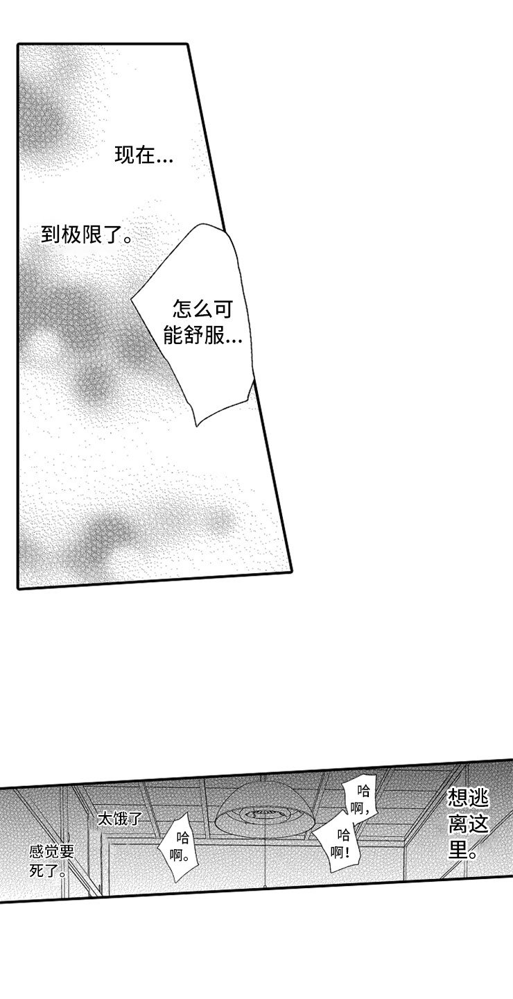 第16章：伪装高手