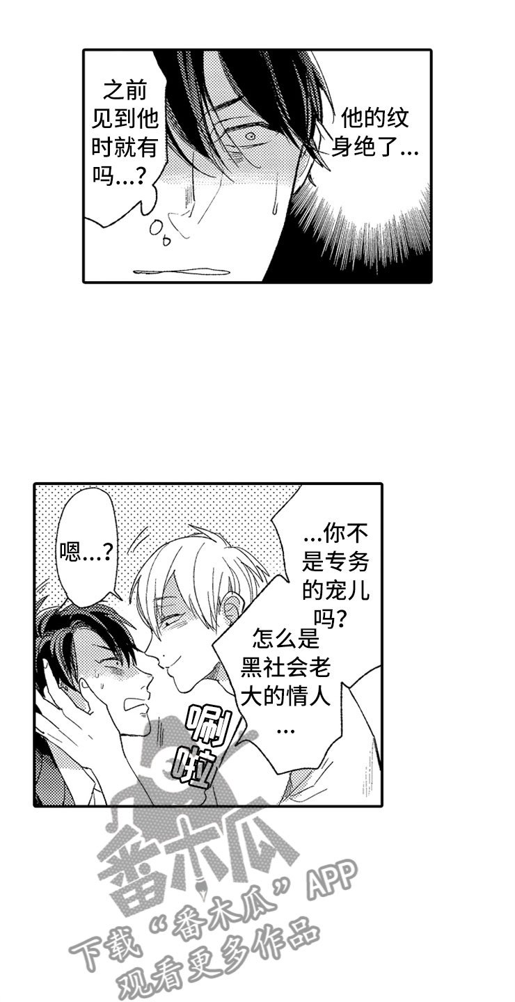 第21章：黑社会女儿