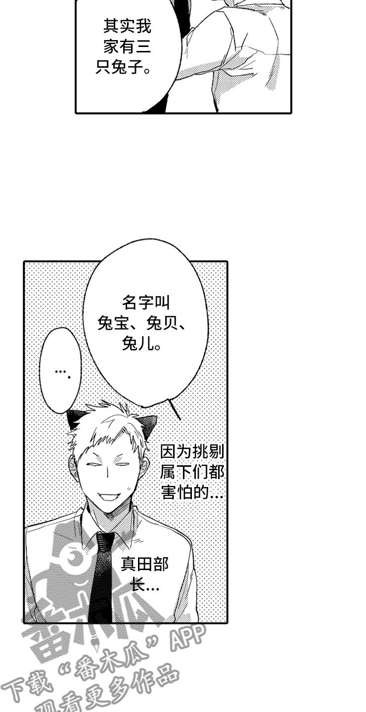 第7章：最喜欢兔子
