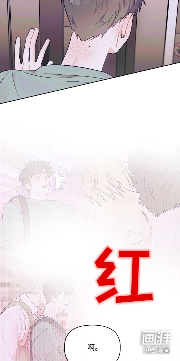 第13章：坦率承认