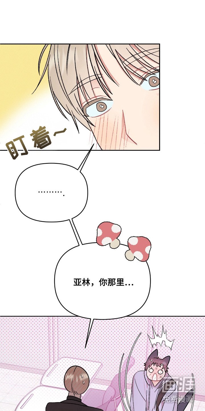 第15章：选一个