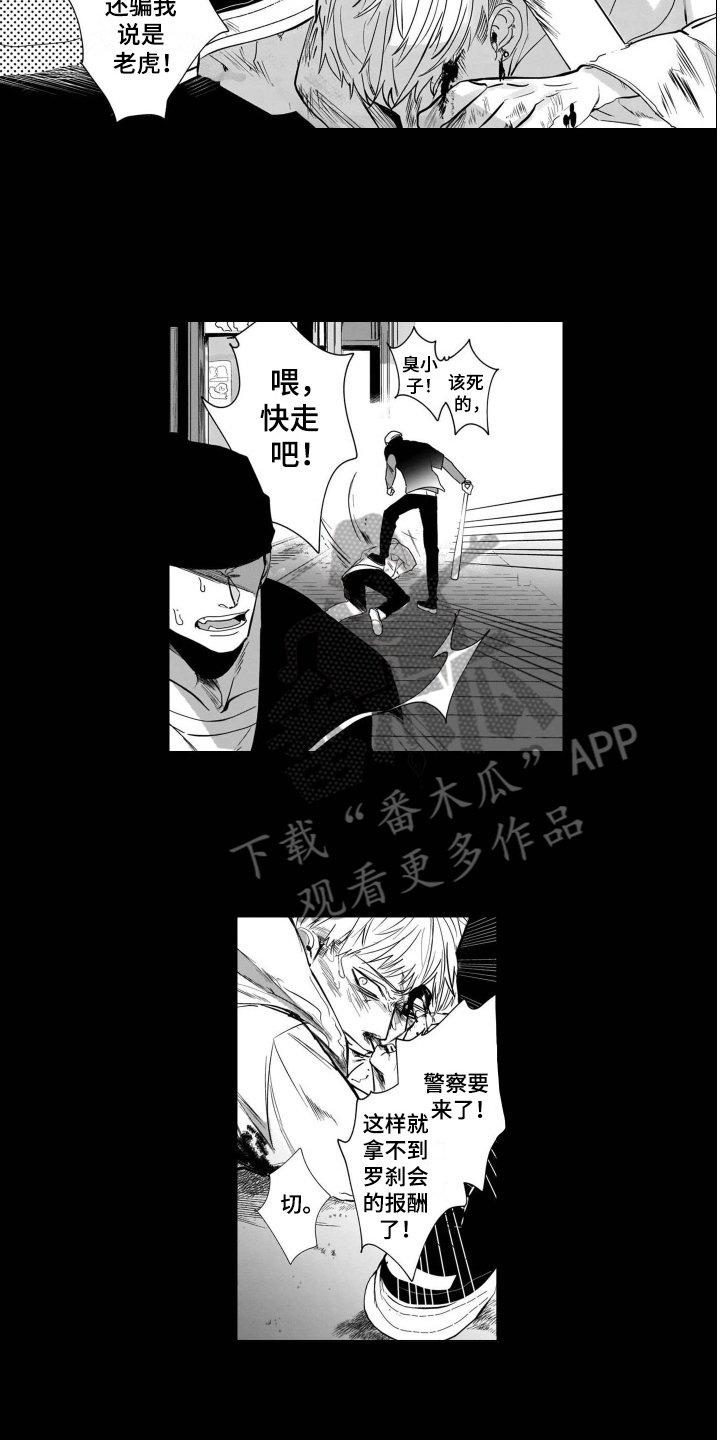 第10章：条件
