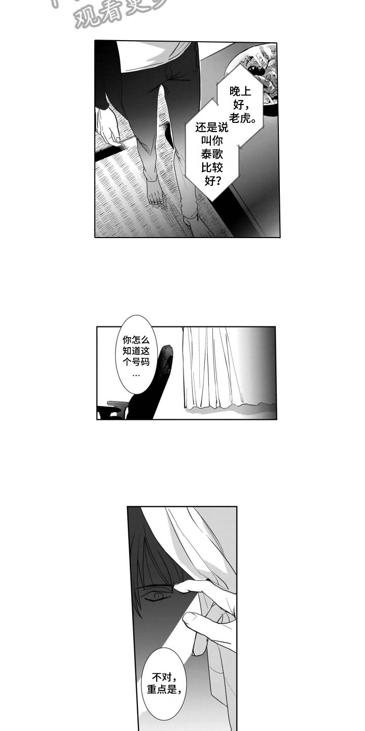 第10章：条件