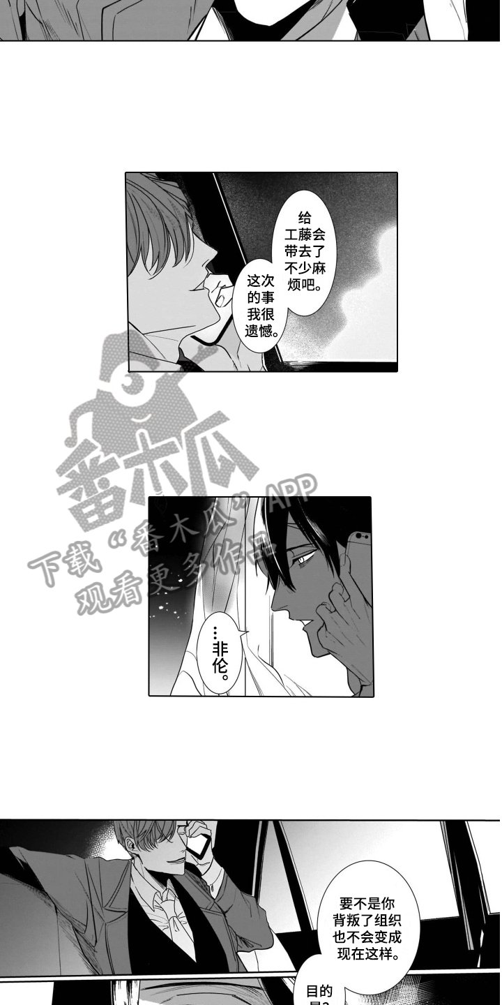 第10章：条件
