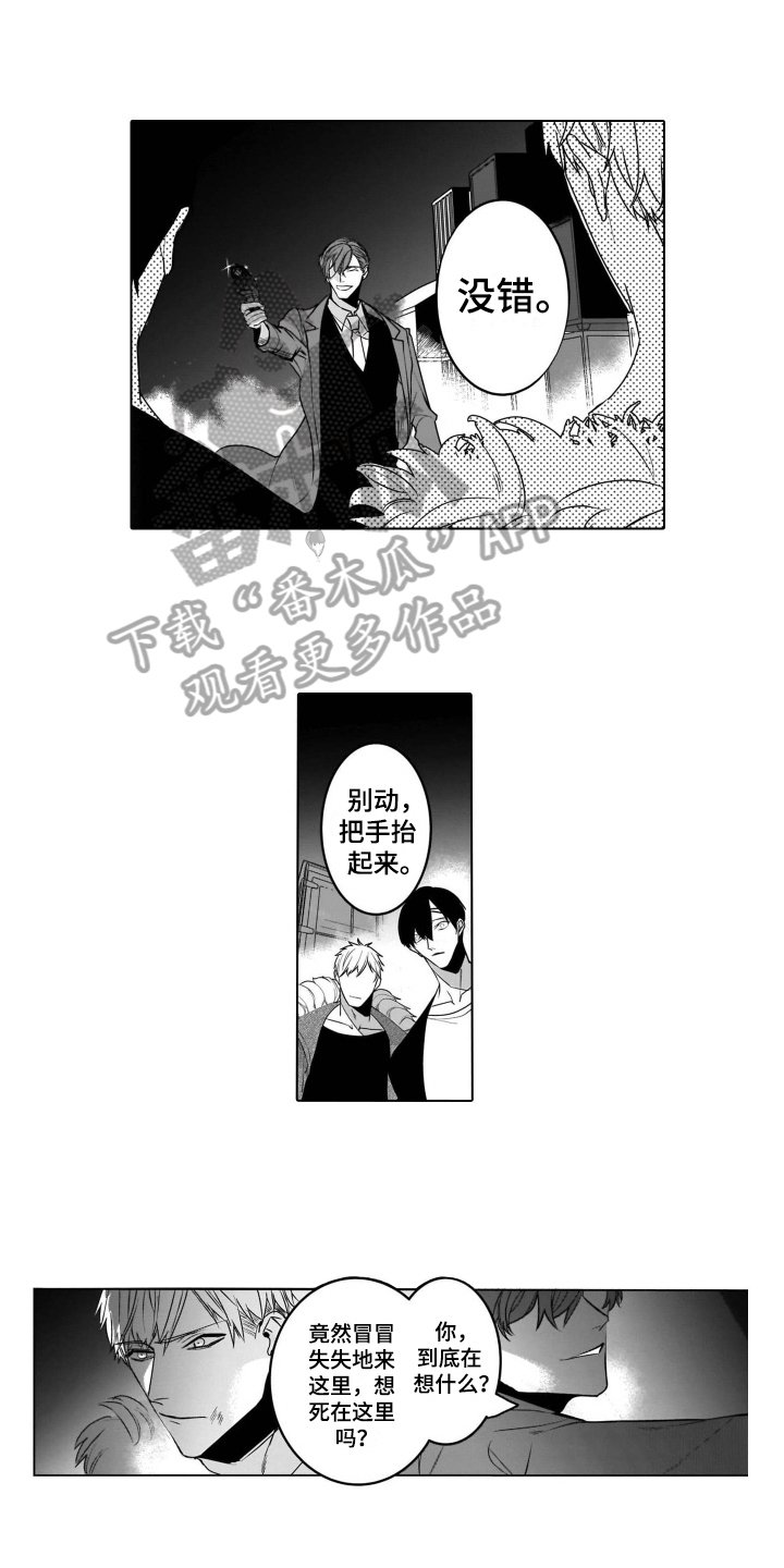 第17章：报警