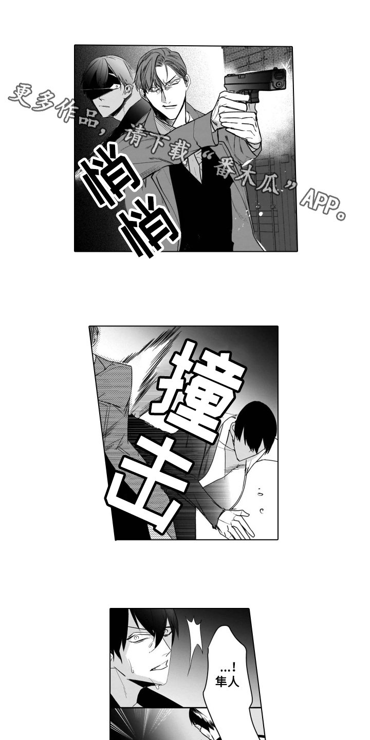 第18章：后续