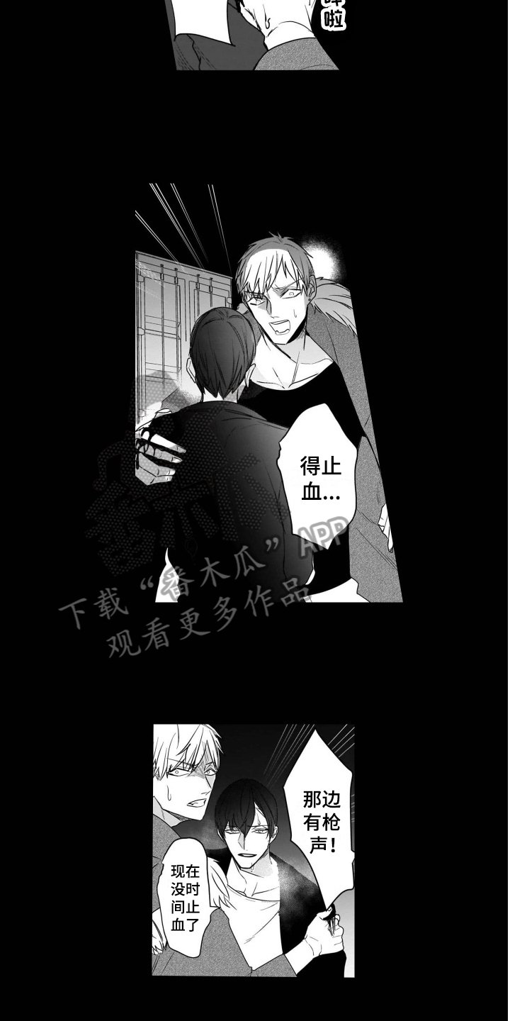 第18章：后续