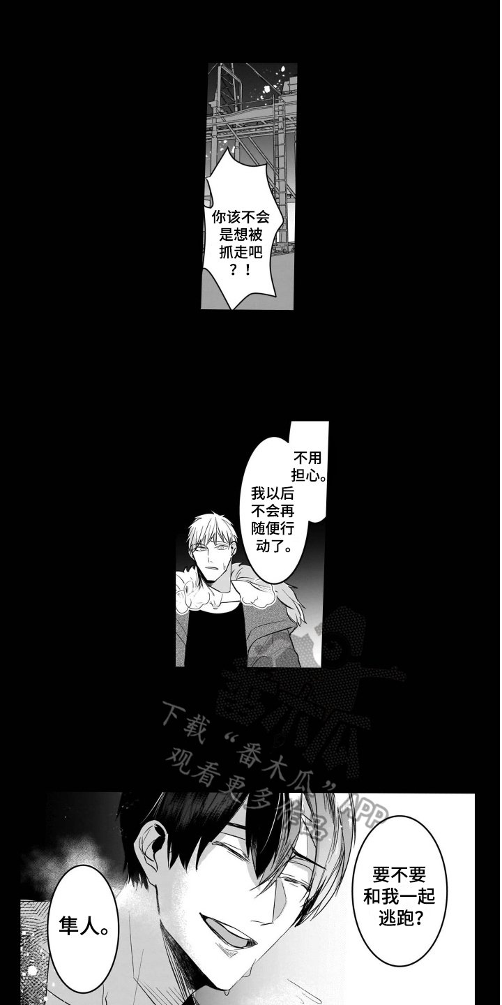 第18章：后续