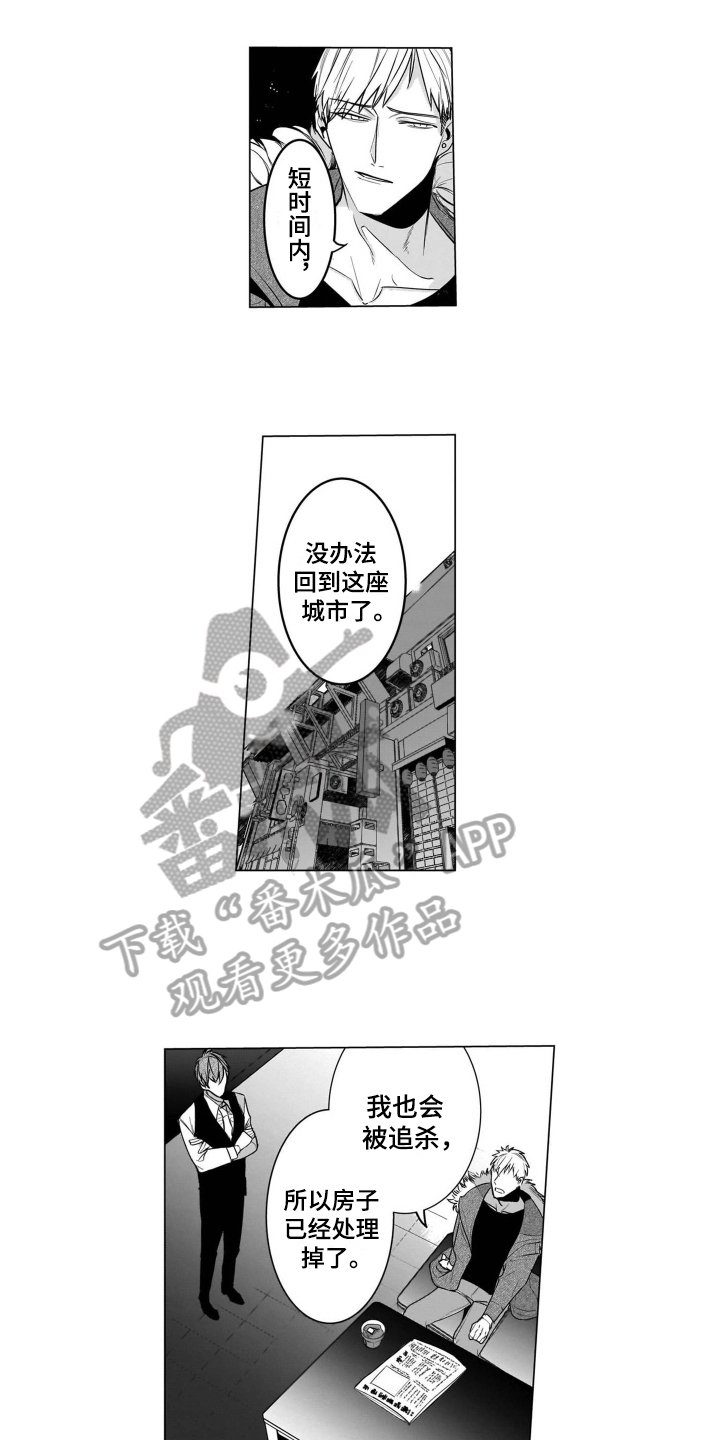 第19章：打算【完结】
