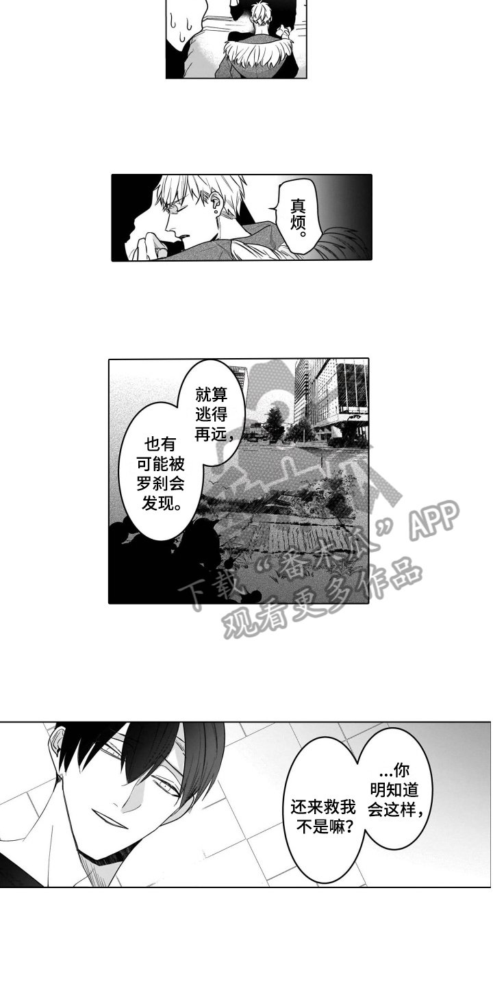 第19章：打算【完结】