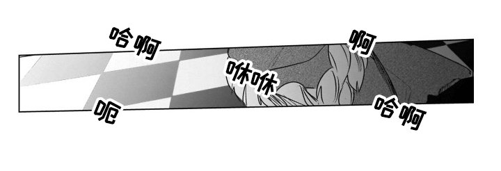 第19章：打算【完结】