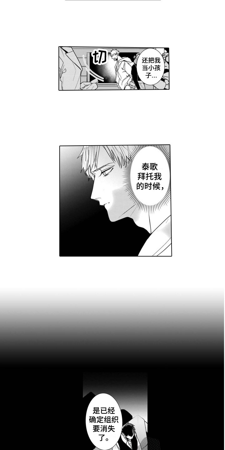 第9章：袭击