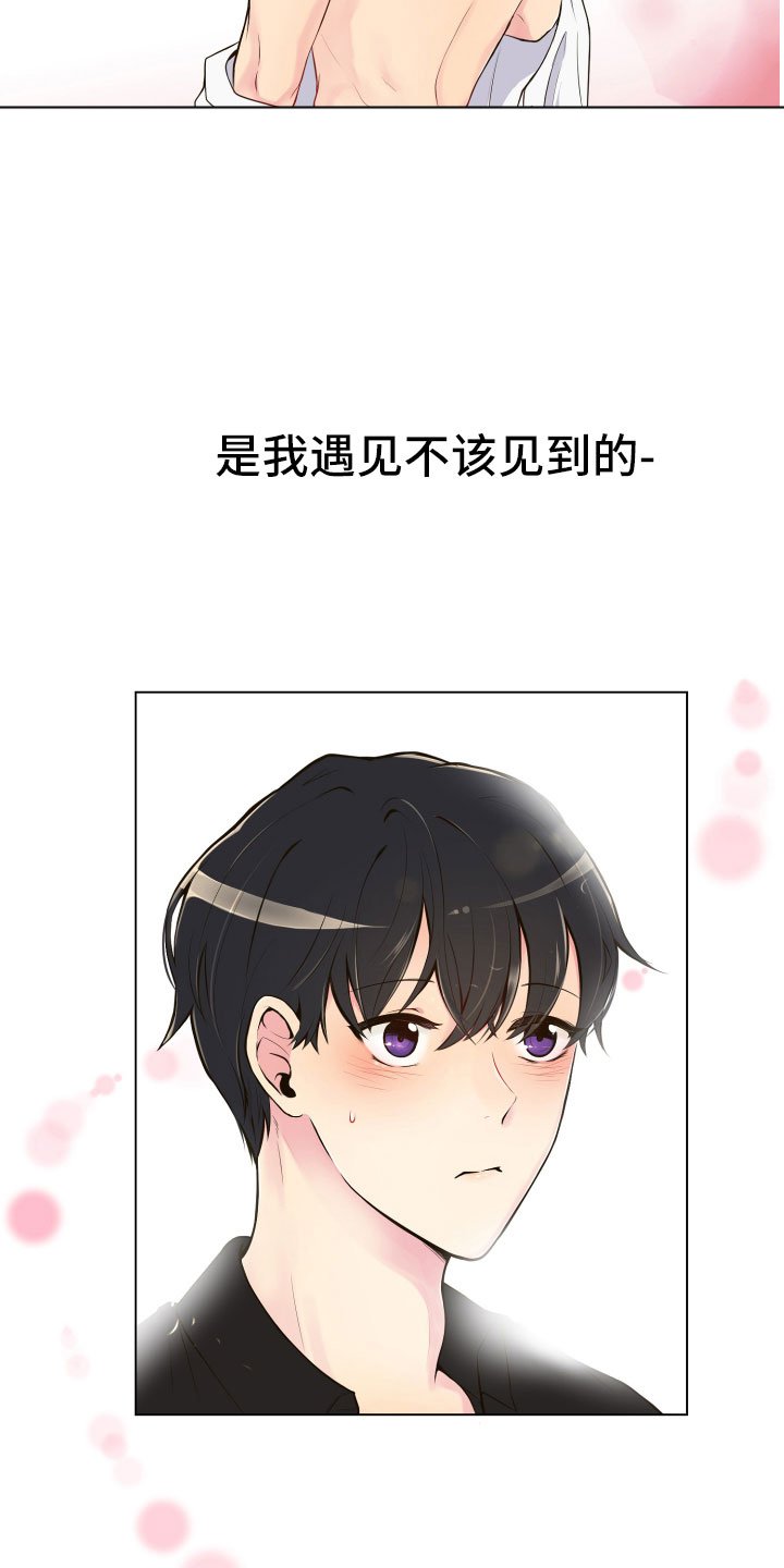 第2章：完美参考物
