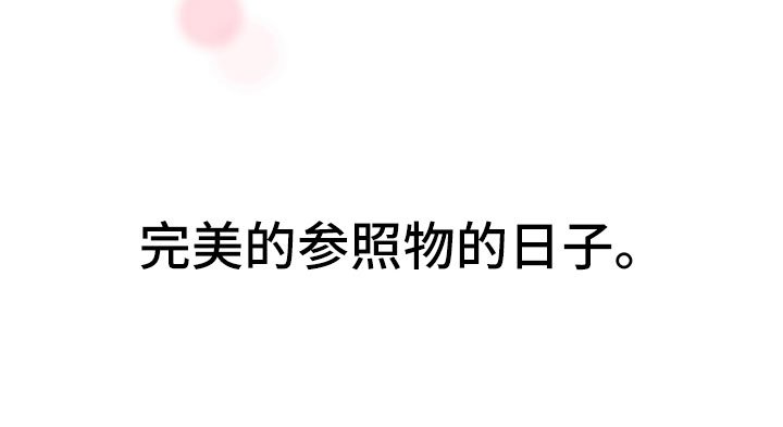 第2章：完美参考物