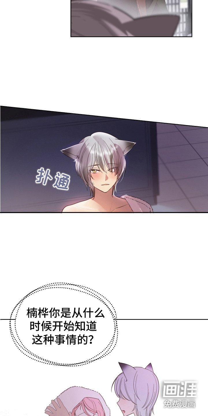 第11章：试试看 
