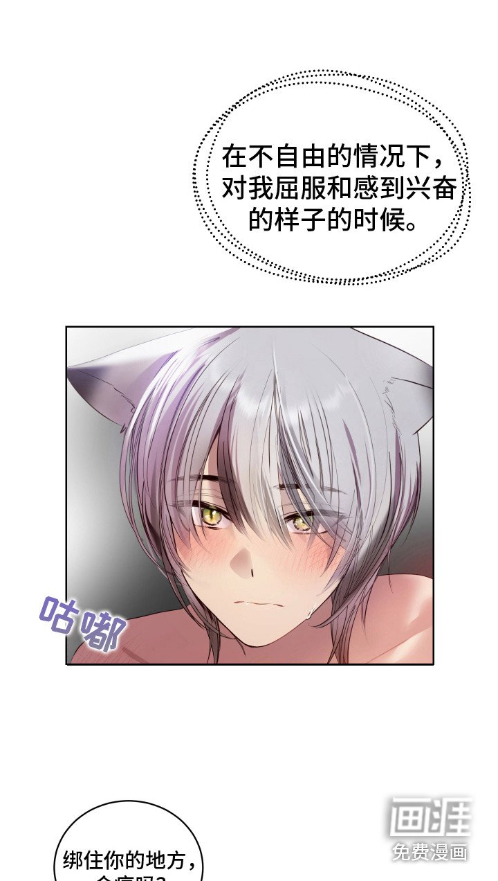 第11章：试试看 
