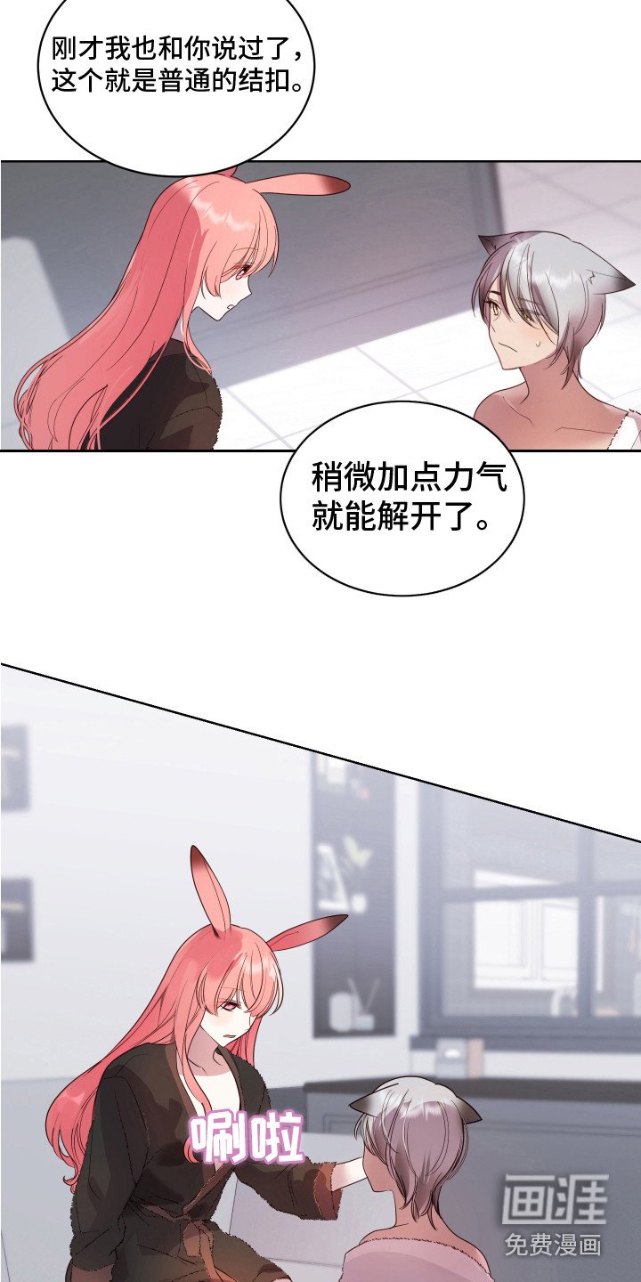 第11章：试试看 