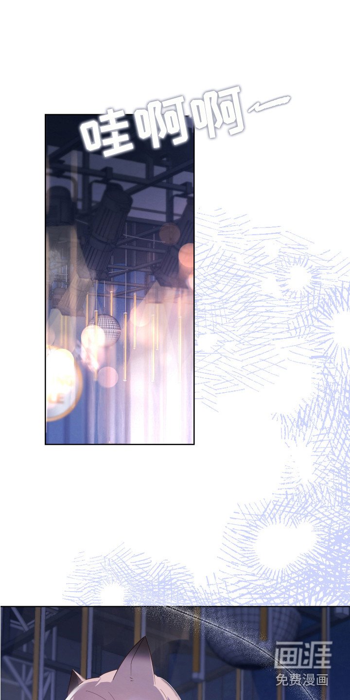 第12章：很华丽 