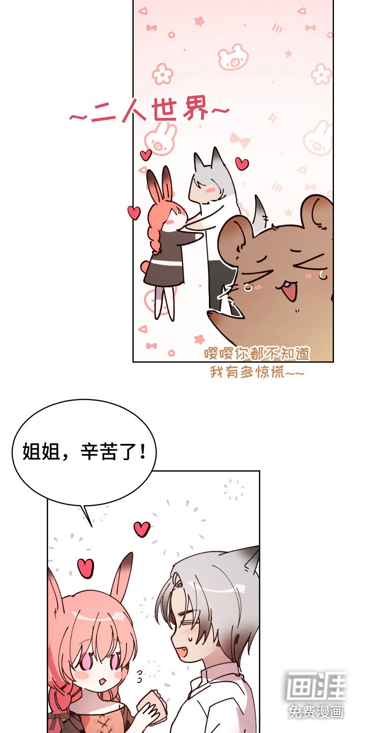 第12章：很华丽 