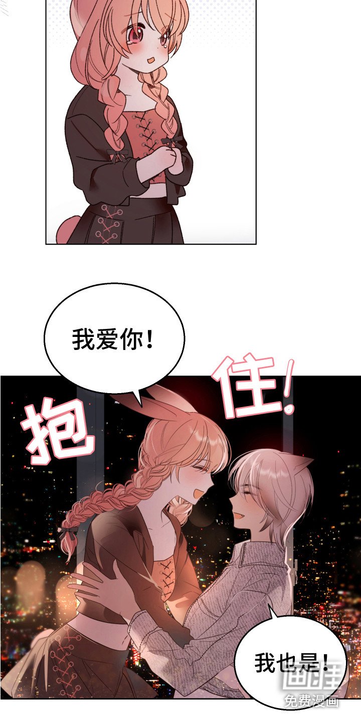 第14章：非常喜欢（完结）