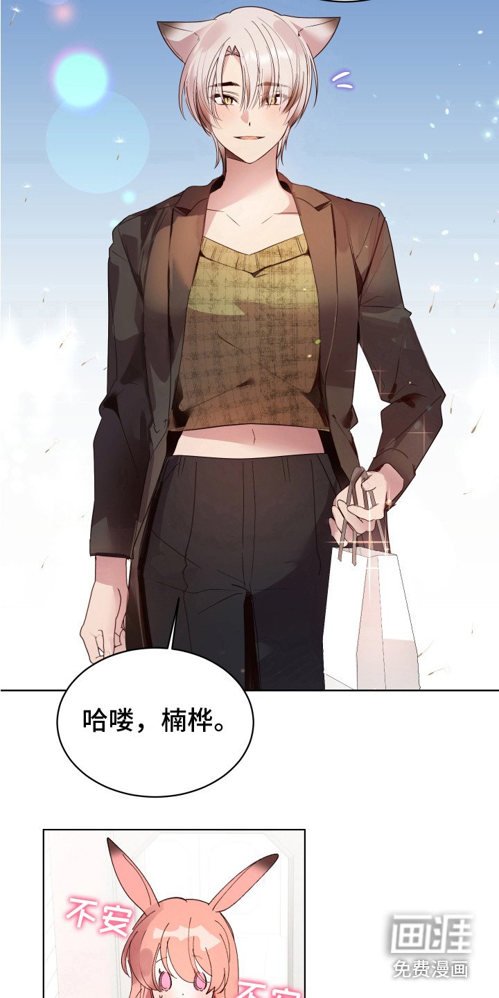 第14章：非常喜欢（完结）