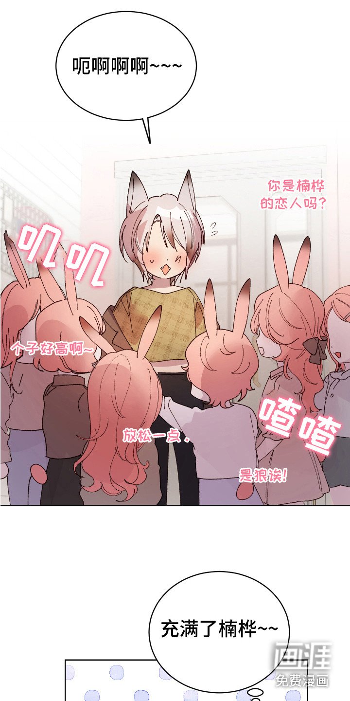 第14章：非常喜欢（完结）
