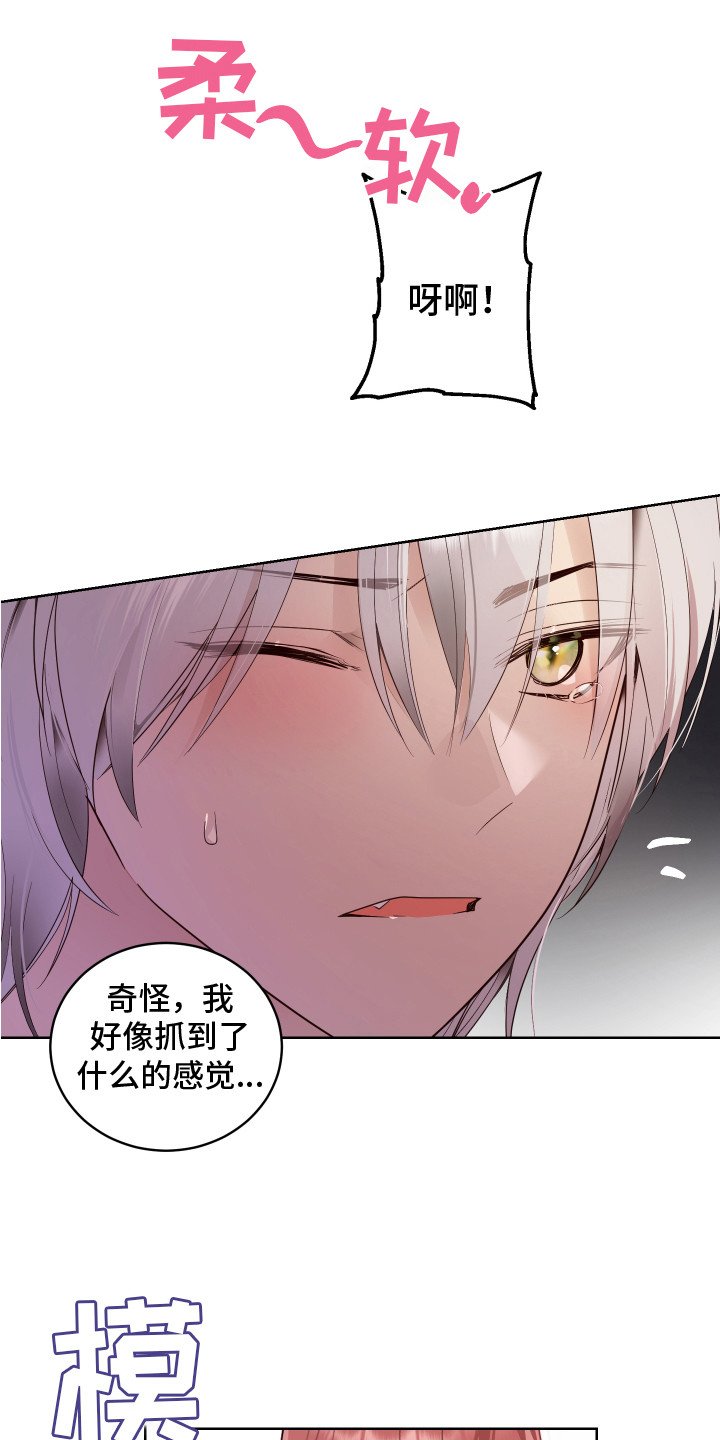 第2章： 一见钟情