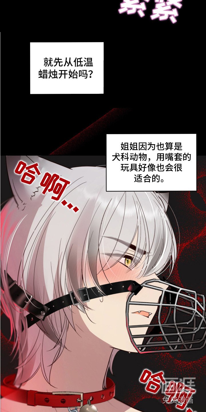 第6章：癖好