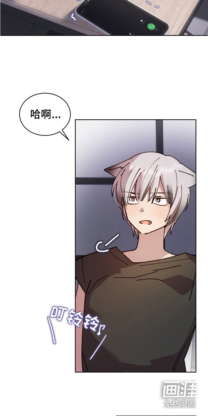 第7章：胡思乱想