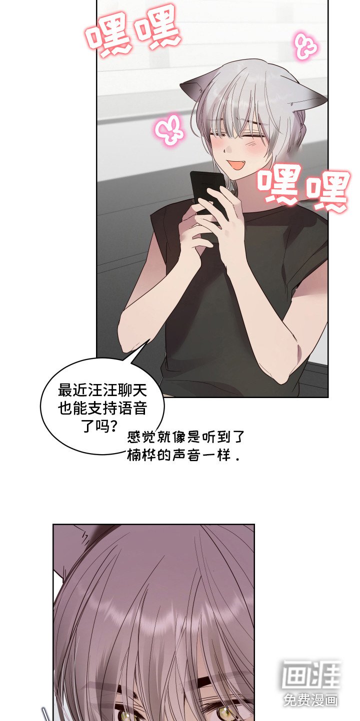 第7章：胡思乱想
